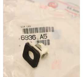 DADO MODANATURA PORTELLONE...