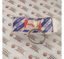 ANELLO DIFFERENZIALE SP...