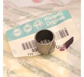 GRANO BASAMENTO TESTA...