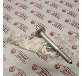 VITE TRAVERSA POSTERIORE...