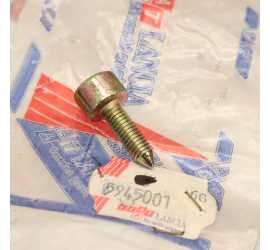 VITE CERNIERA LANCIA THEMA...