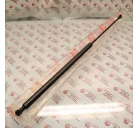 PISTONE PORTELLONE...