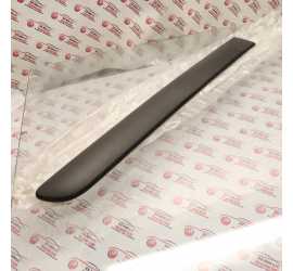 MODANATURA PORTA POSTERIORE...