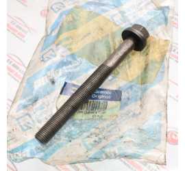 VITE BASAMENTO TESTA...