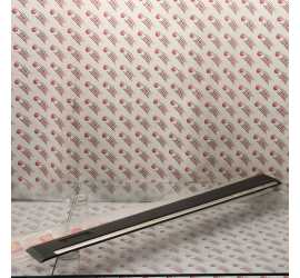 MODANATURA PORTA ANT. DX...