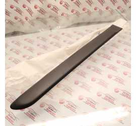 MODANATURA PORTA POSTERIORE...