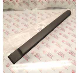 MODANATURA PORTA POSTERIORE...