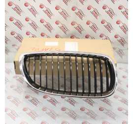 GRIGLIA RADIATORE DESTRA...