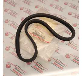 GUARNIZIONE PROIETTORE...