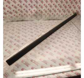 MODANATURA PORTA ANT....