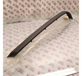 MODANATURA POSTERIORE SX...