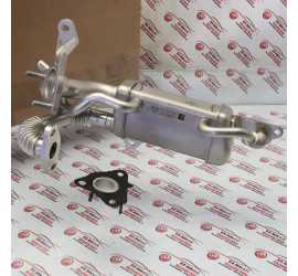 SCAMBIATORE EGR RENAULT...