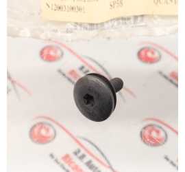 VITE DI MONTAGGIO TORX M6...