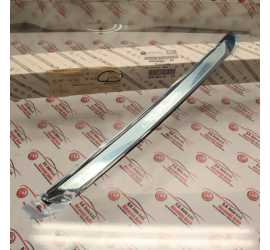 BATTICALCAGNO POSTERIORE...