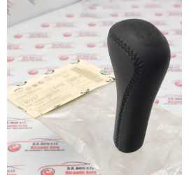 POMELLO CAMBIO SKODA...