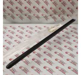 MODANATURA PORTA POSTERIORE...