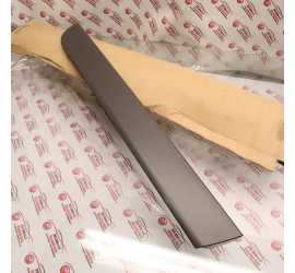 MODANATURA PORTA POSTERIORE...