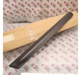 MODANATURA PORTA POSTERIORE...