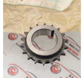 RUOTA DENTATA ALBERO MOTORE...