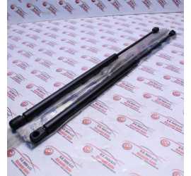 COPPIA PISTONI BAULE FORD...