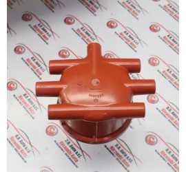 CALOTTA SPINTEROGENO...