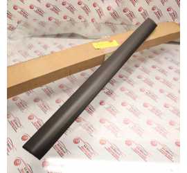 MODANATURA PORTA POSTERIORE...