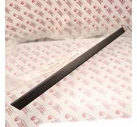 MODANATURA PORTA POSTERIORE...