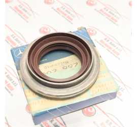 PARAOLIO DIFFERENZIALE...