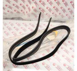 GUARNIZIONE VETRO PORTA SX...