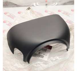 RIPARO STARZO SUPERIORE...