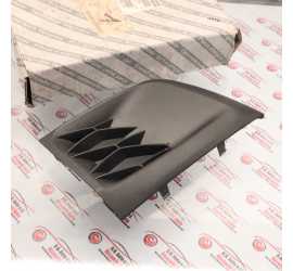 MOSTRINA SINISTRA PARAURTI...