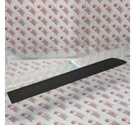 MODANATURA PORTA POSTERIORE...