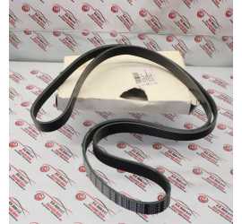 CINGHIA TRASMISSIONE...