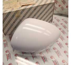 CALOTTA SPECCHIO SINISTRO...