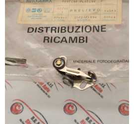 PUNTINA SPINTEROGENO...