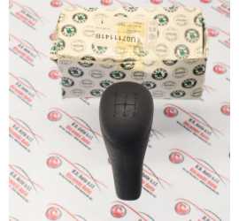 POMELLO CAMBIO SKODA...