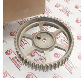 PULEGGIA DENTATA ALBERO...