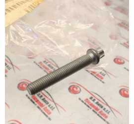 VITE PULEGGIA ALBERO MOTORE...