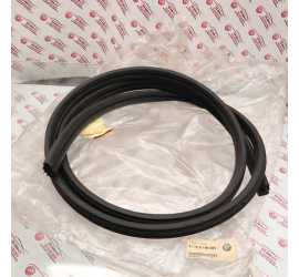 GUARNIZIONE PORTA...