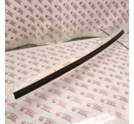 RASCHIAVETRO INTERNO DX BMW...