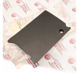 COPERCHIO PARAURTI...