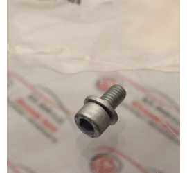 VITE TENDA A RULLO POST....