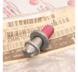 VITE TORX MOZZO RUOTA BMW...