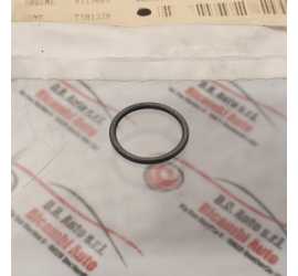 GUARNIZIONE O-RING FILTRO...