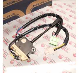 LEVA DEVIOGUIDA TERGI PER...