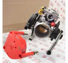 CORPO FARFALLATO PER...