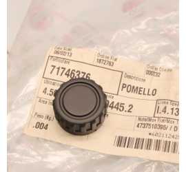 POMELLO RADIO FIAT IDEA...