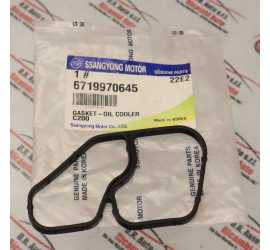 GUARNIZIONE SCAMBIATORE...