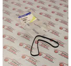 GUARNIZIONE SCAMBIATORE...