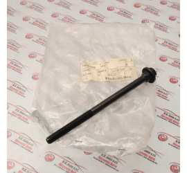 VITE PORTARUOTA DI SCORTA...